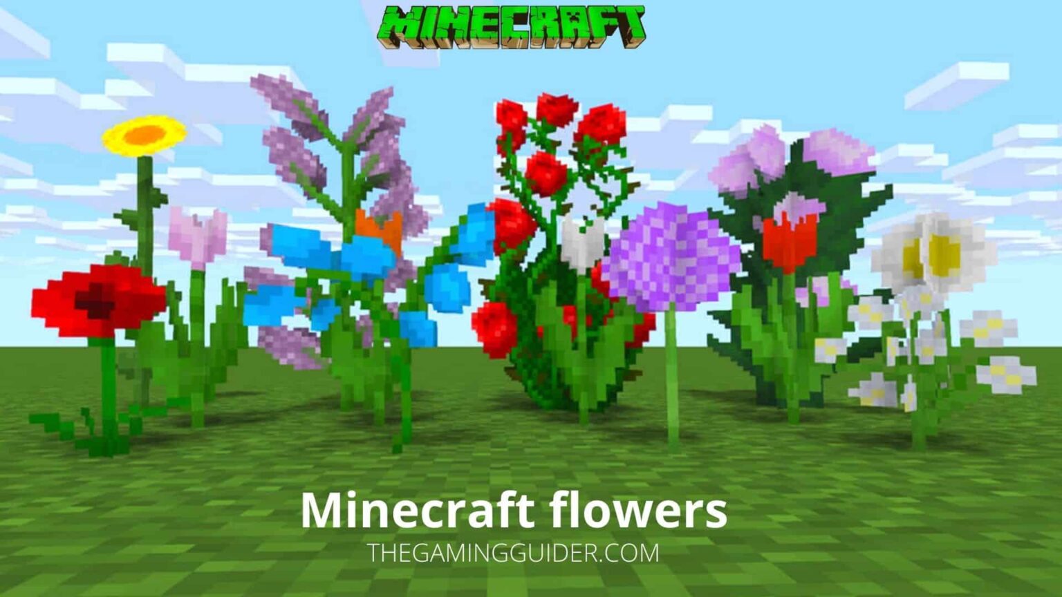 Minecraft Flowers: All you need to know | the gaming guider