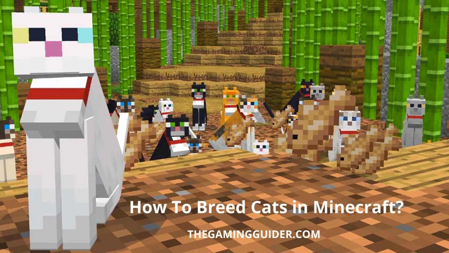 how-to-breed-cats-in-minecraft-1-19-update