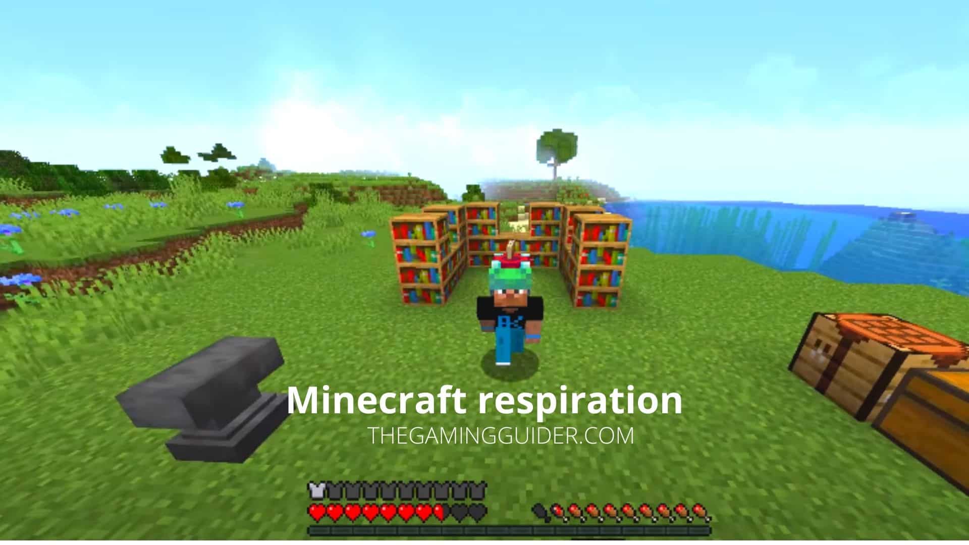 Minecraft respiration-the gaming guider