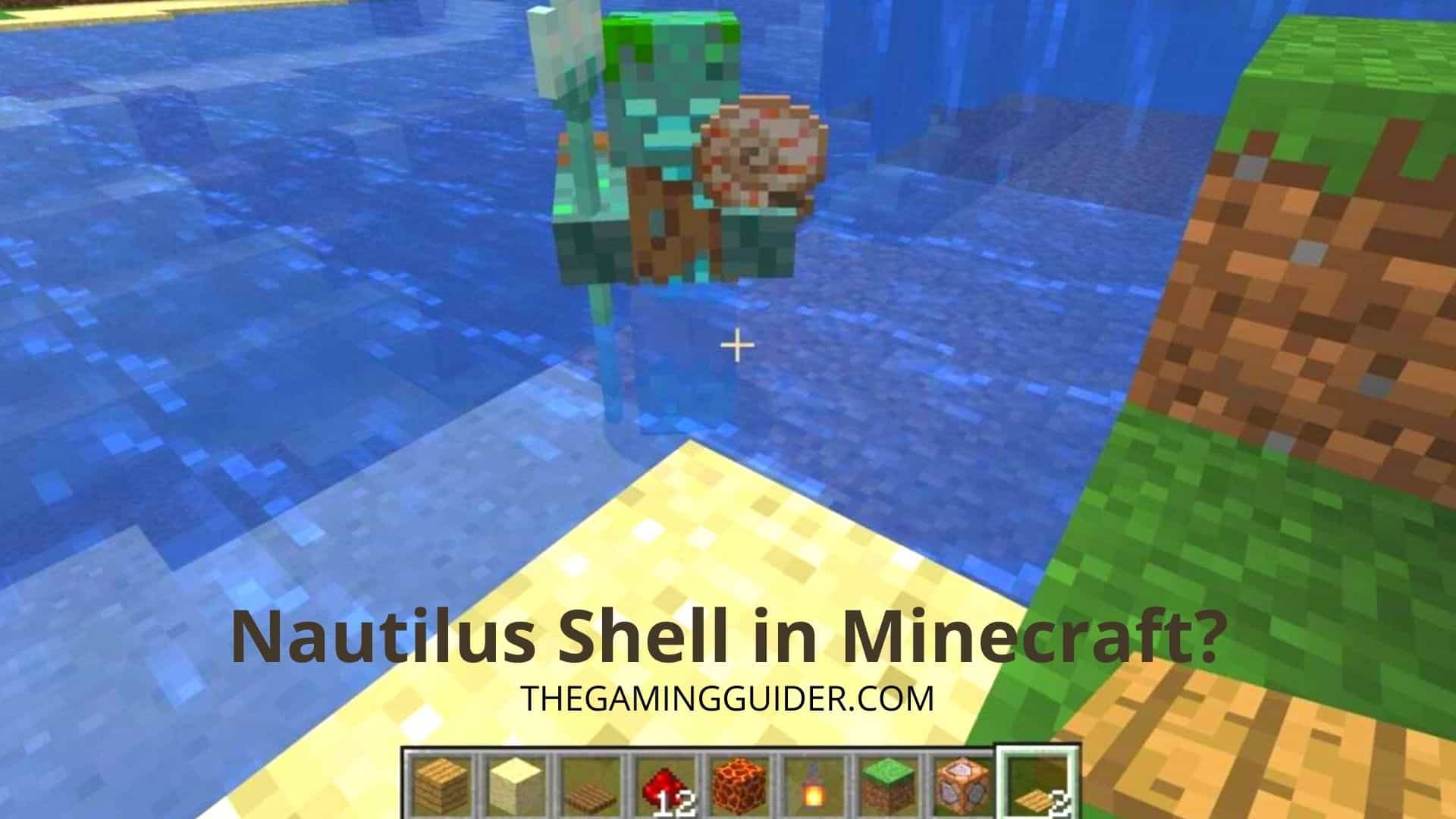Nautilus Shell in Minecraft- the gaming guider
