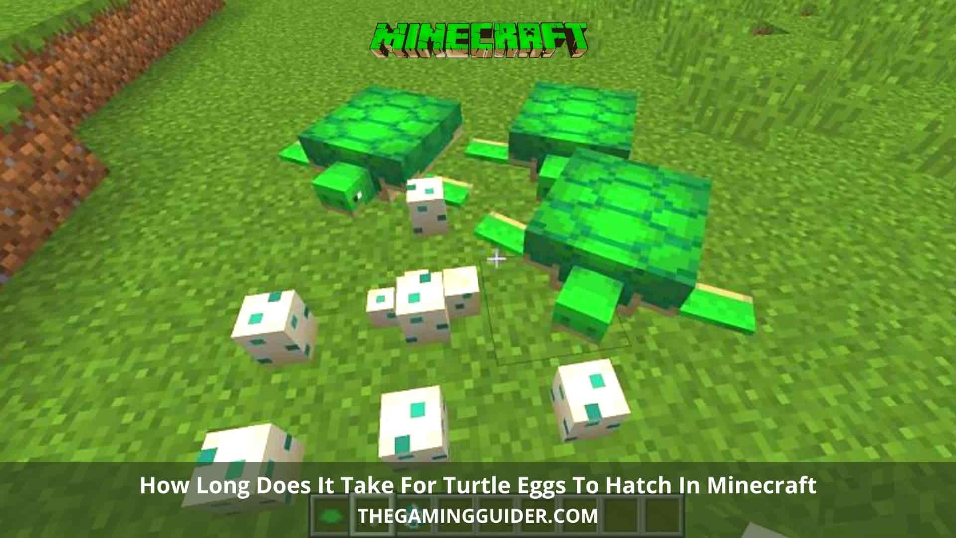 How Long Does It Take For Turtle Eggs To Hatch In Minecraft-thegamingguider