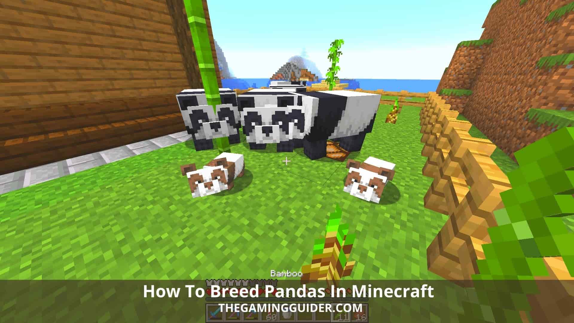 how-to-breed-pandas-in-minecraft-get-all-varieties