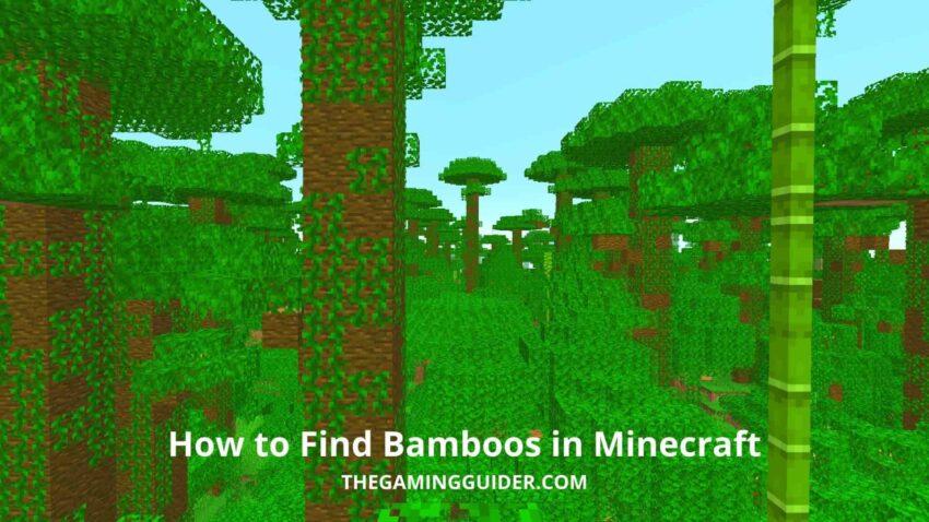 How to Find Bamboos in Minecraft-the gaming guider