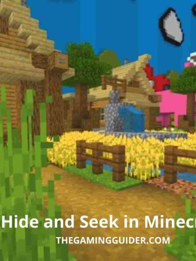 Minecraft Hide and Seek