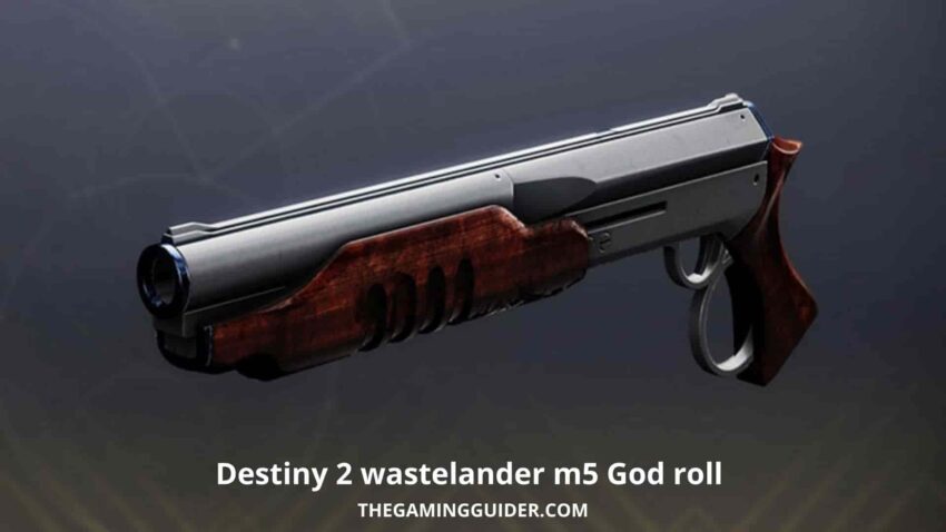 Destiny 2 wastelander m5 God roll- the gaming guider