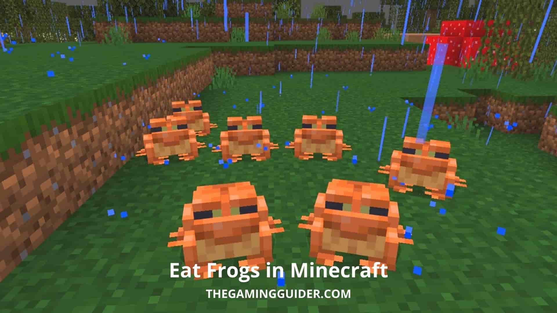 Eat Frogs in Minecraft - the gaming guider