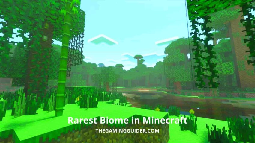 Rarest Biome in Minecraft - the gaming guider