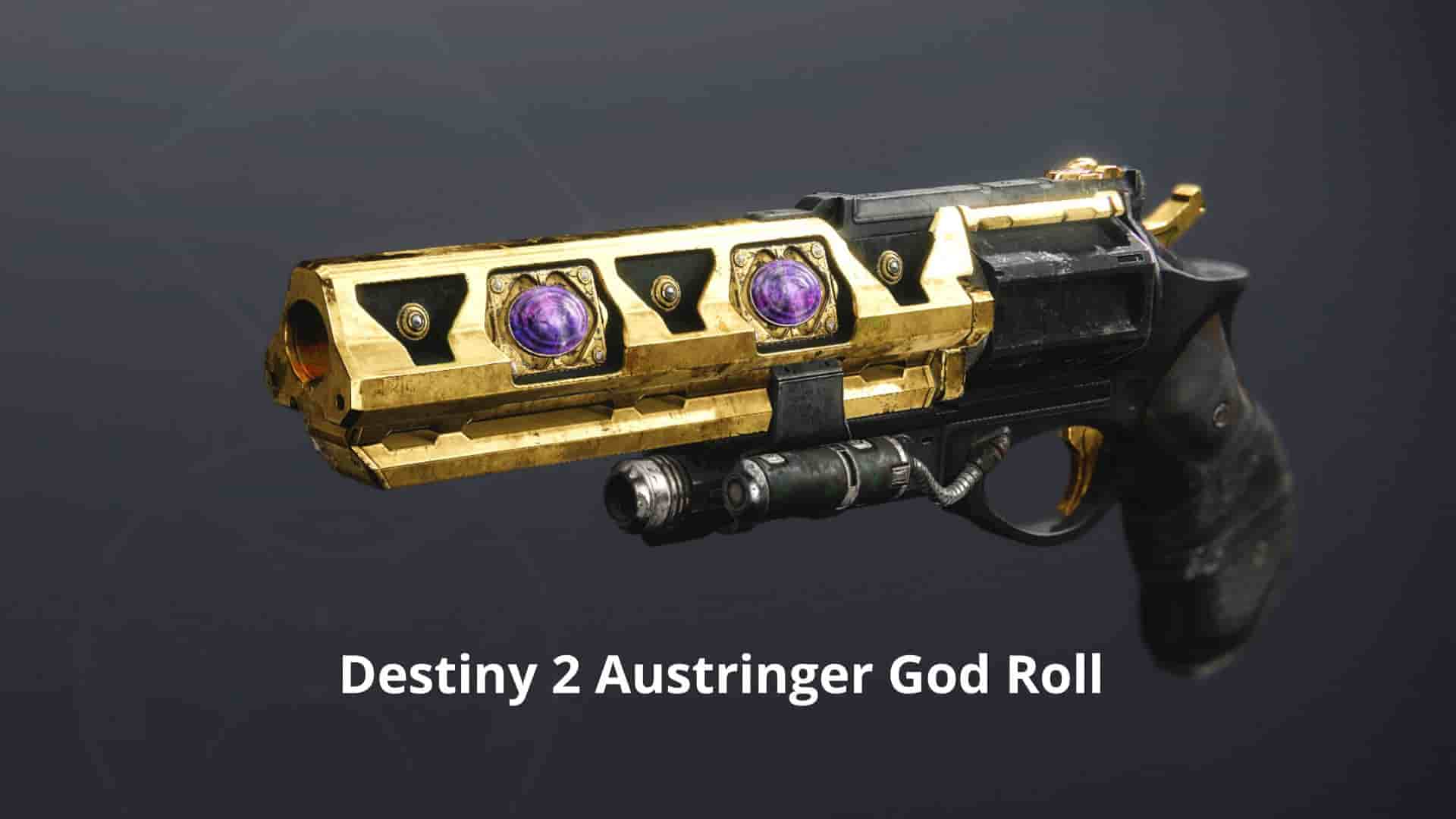 Destiny 2 Austringer God Roll - the gaming guider